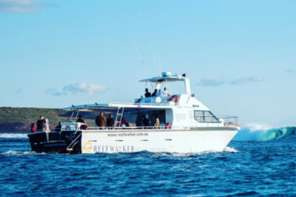 Reefwalker Ocean Discovery