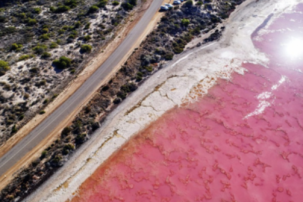 Pink Lake (Hutt Lagoon)