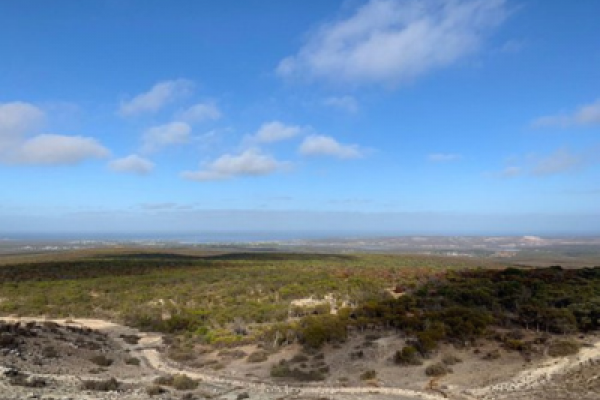 Meanarra Hill Lookout