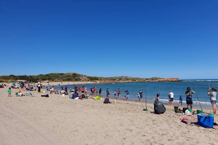 Whiting comp